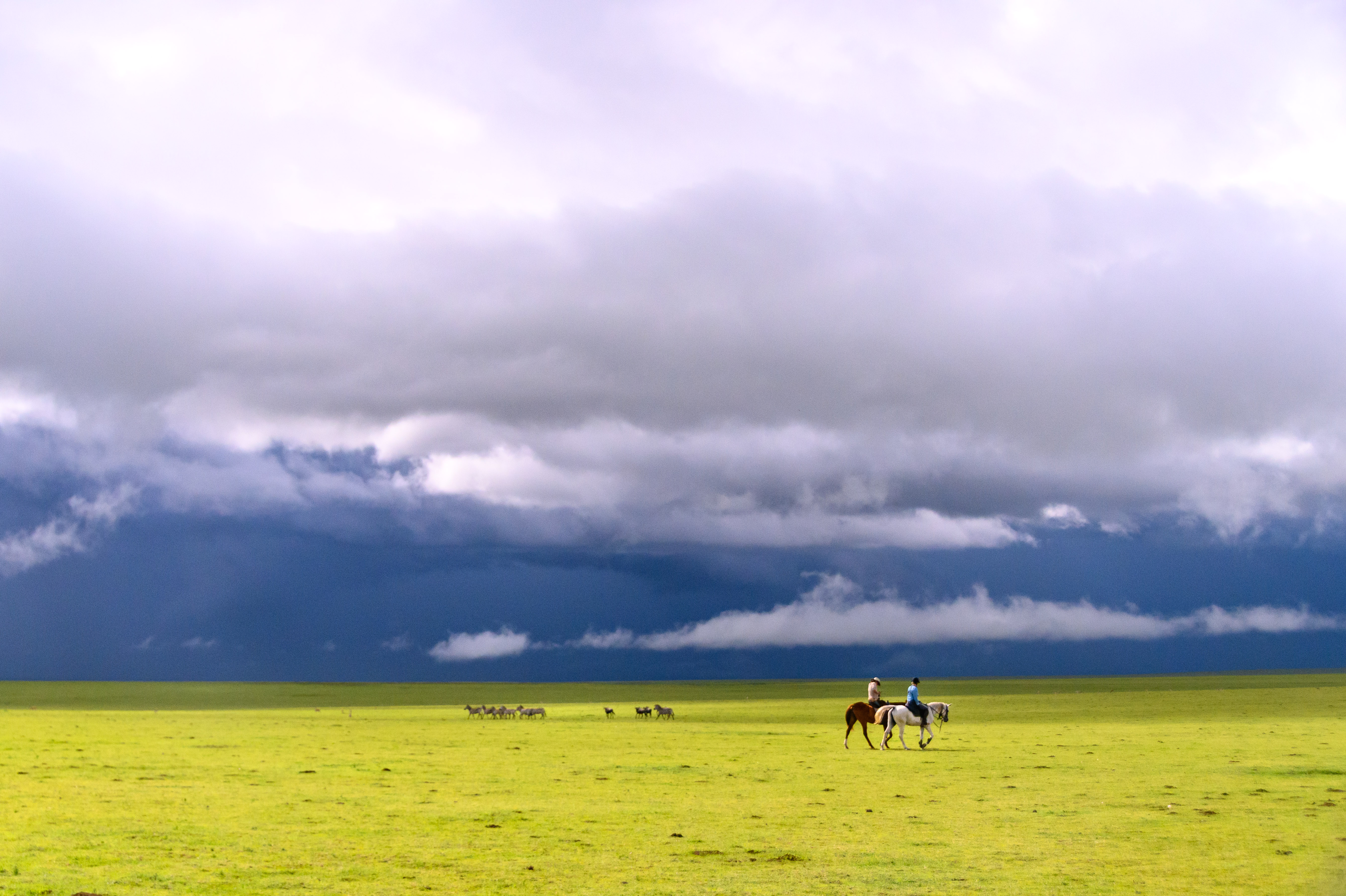 Grupp av ryttare på ridresa i Afrika galopperar över Serengetis vidsträckta slätter medan damm och gnuhjordar rör sig över horisonten under the great migration.