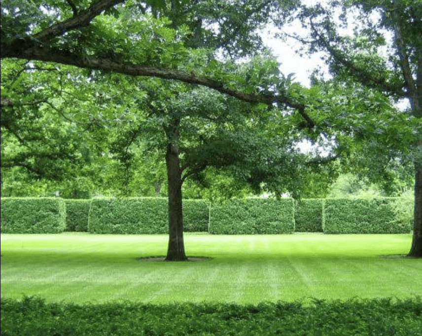 Public garden