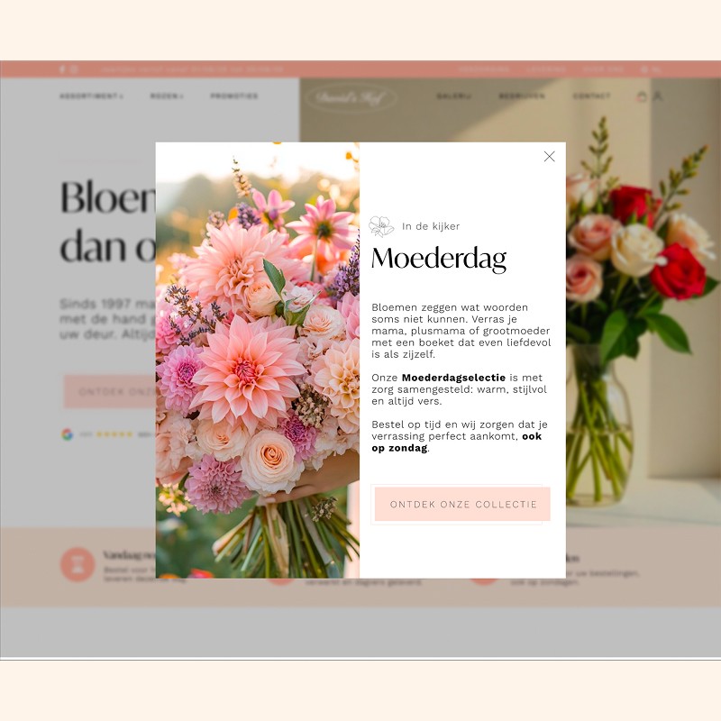 Heph studios portfolio davidshof