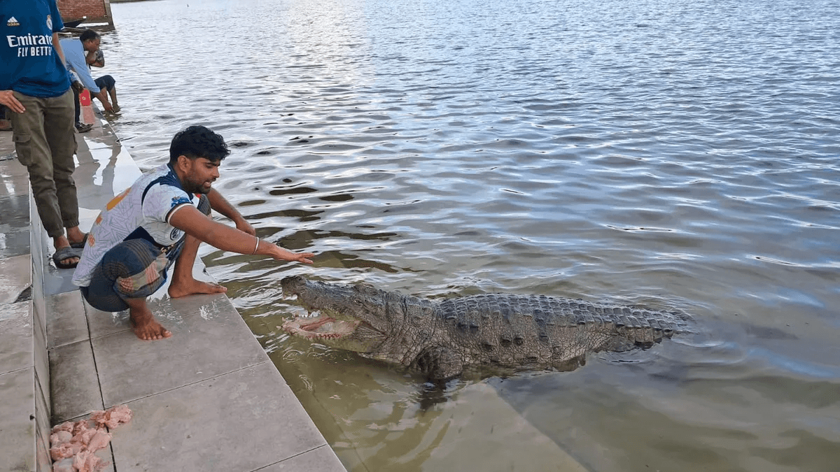 হযরত খান জাহান আলী (র.) এর মাজার দীঘির কুমিরের সাড়ে ৬শ বছরের ইতিহাস