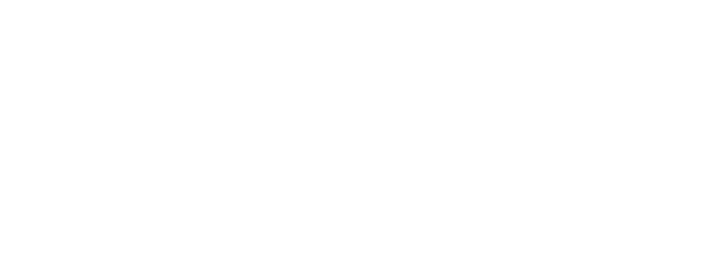 Maestro Dobel logo