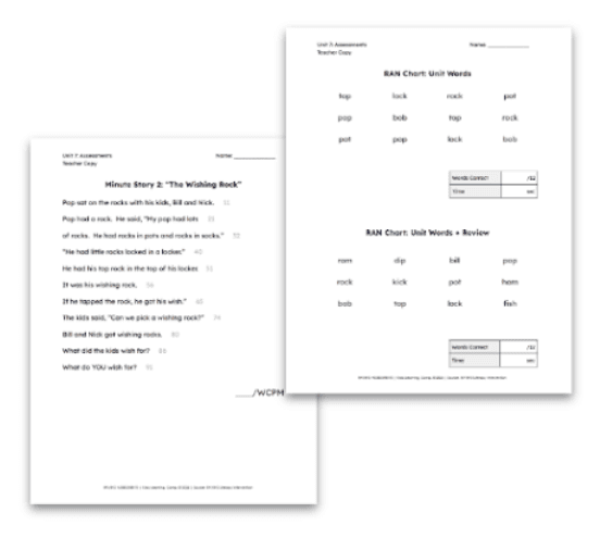 Example image of RAVE-O literacy assessment tools to measure student reading fluency and comprehension.
