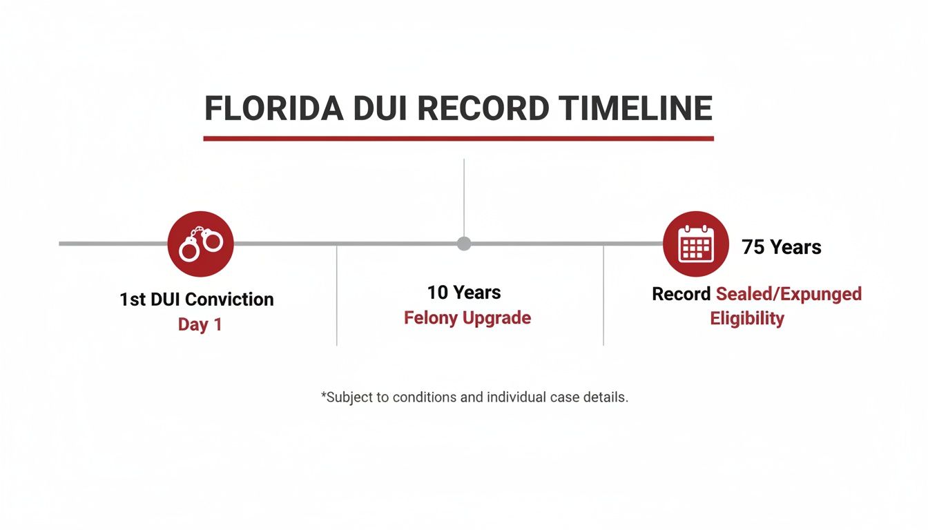 A timeline illustrating the Florida DUI record progression from conviction to expungement eligibility.