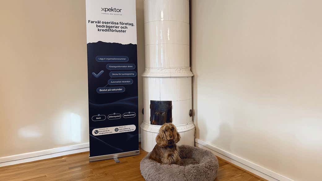 A dog resting in a bed inside the Xpektor office.