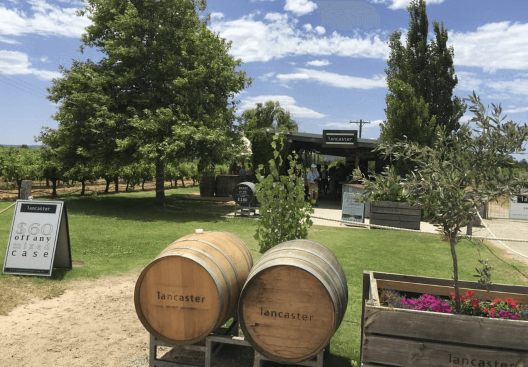 Best Swan Valley Wine Tour Wine Tasting Lunch Top Rated 