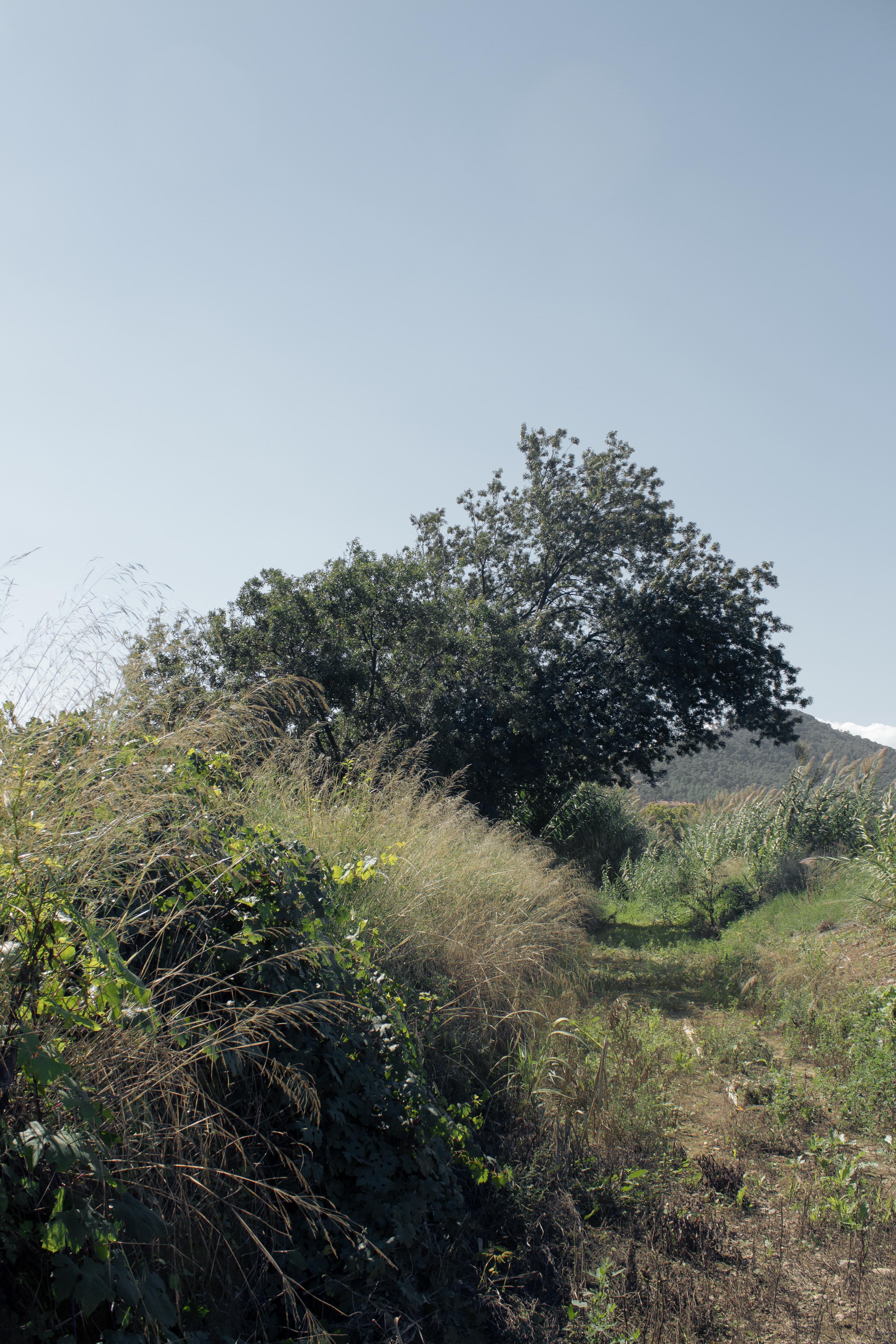 Vista de la riera de Can Julià