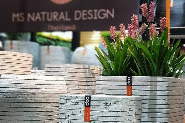 ผู้ชายจับมือกับผู้หญิง