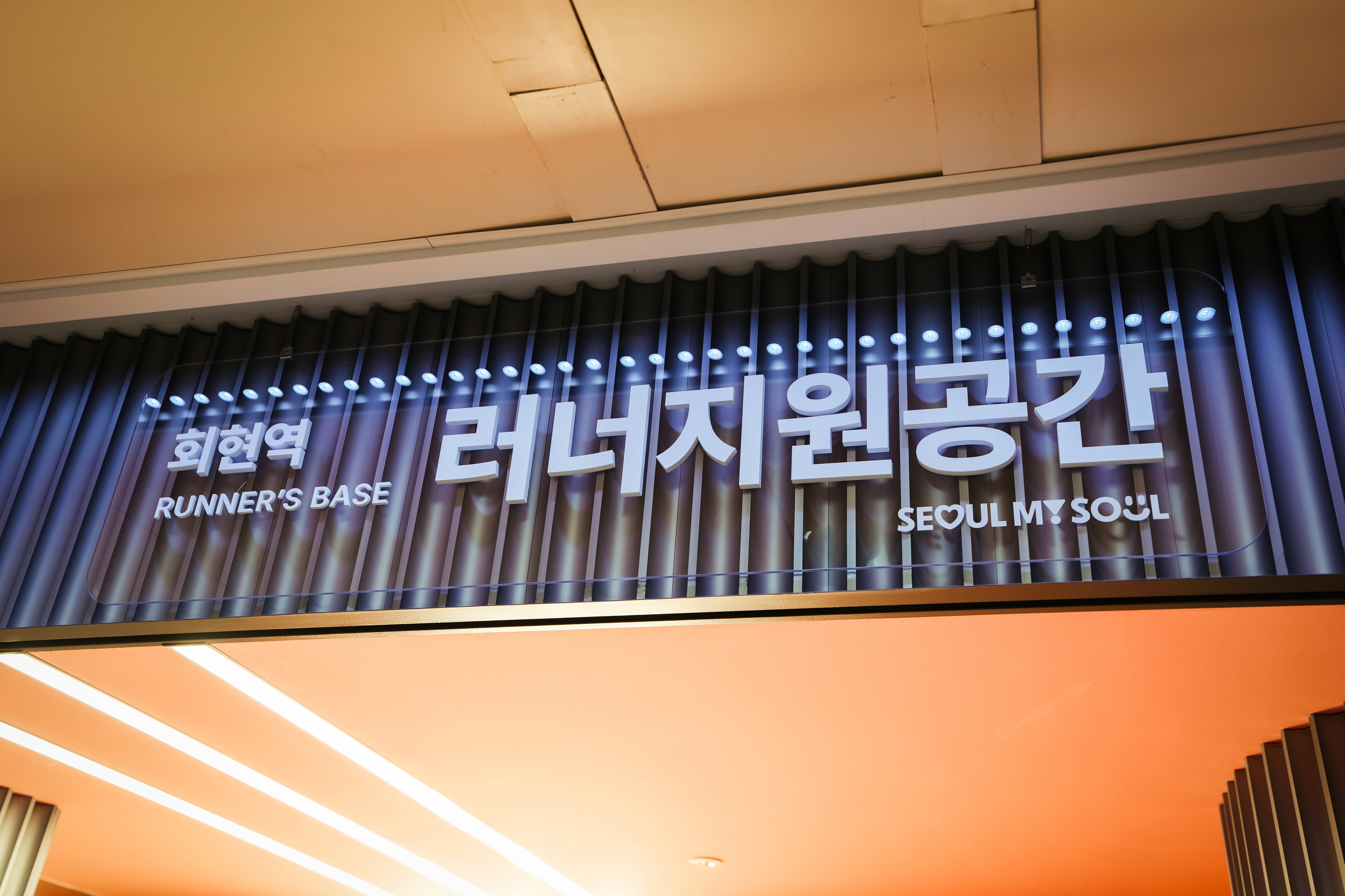 green grass field with trees under blue sky during daytime