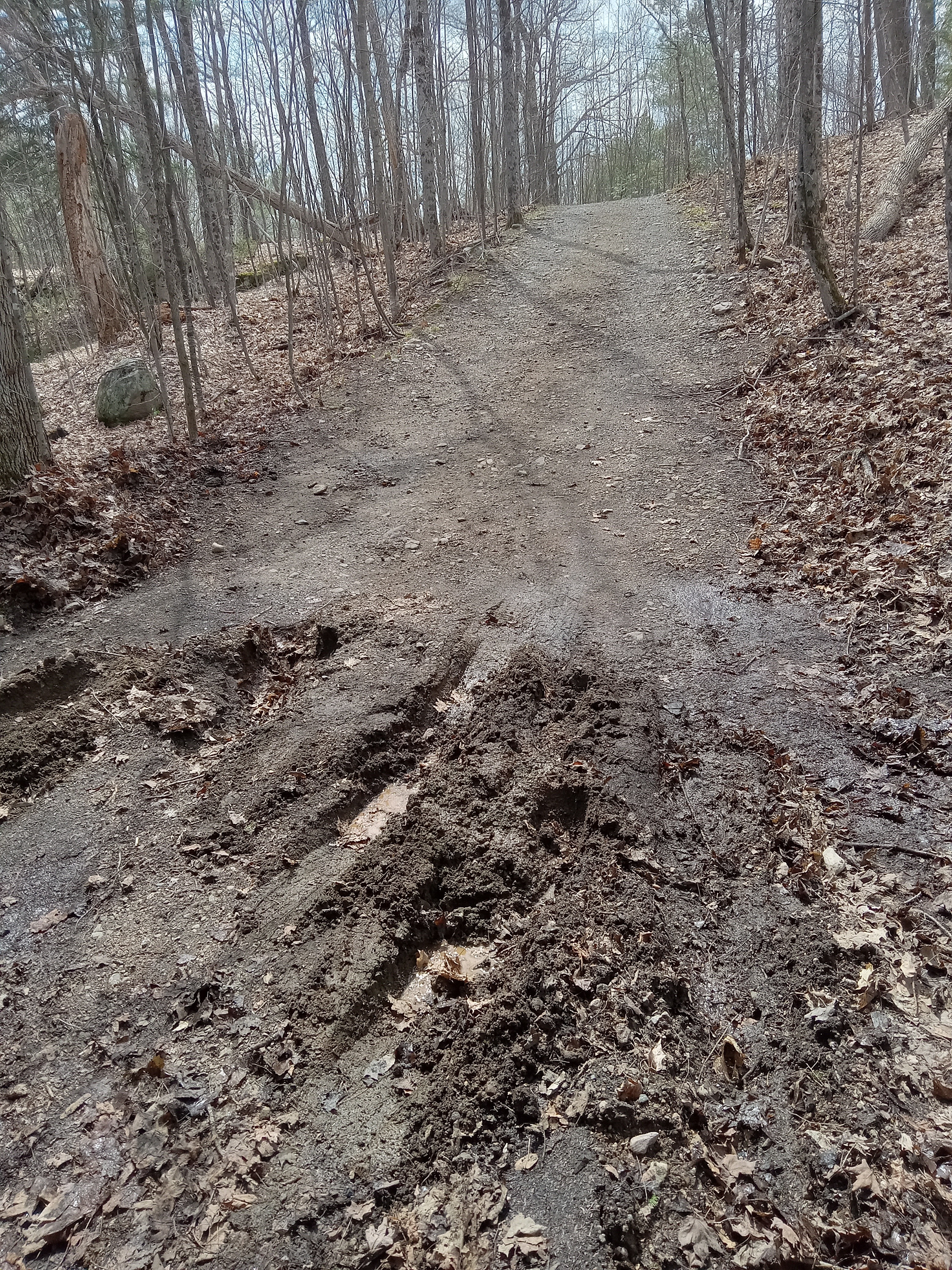 Deep ruts and washout damage on a gravel cottage driveway in Algonquin Highlands.
