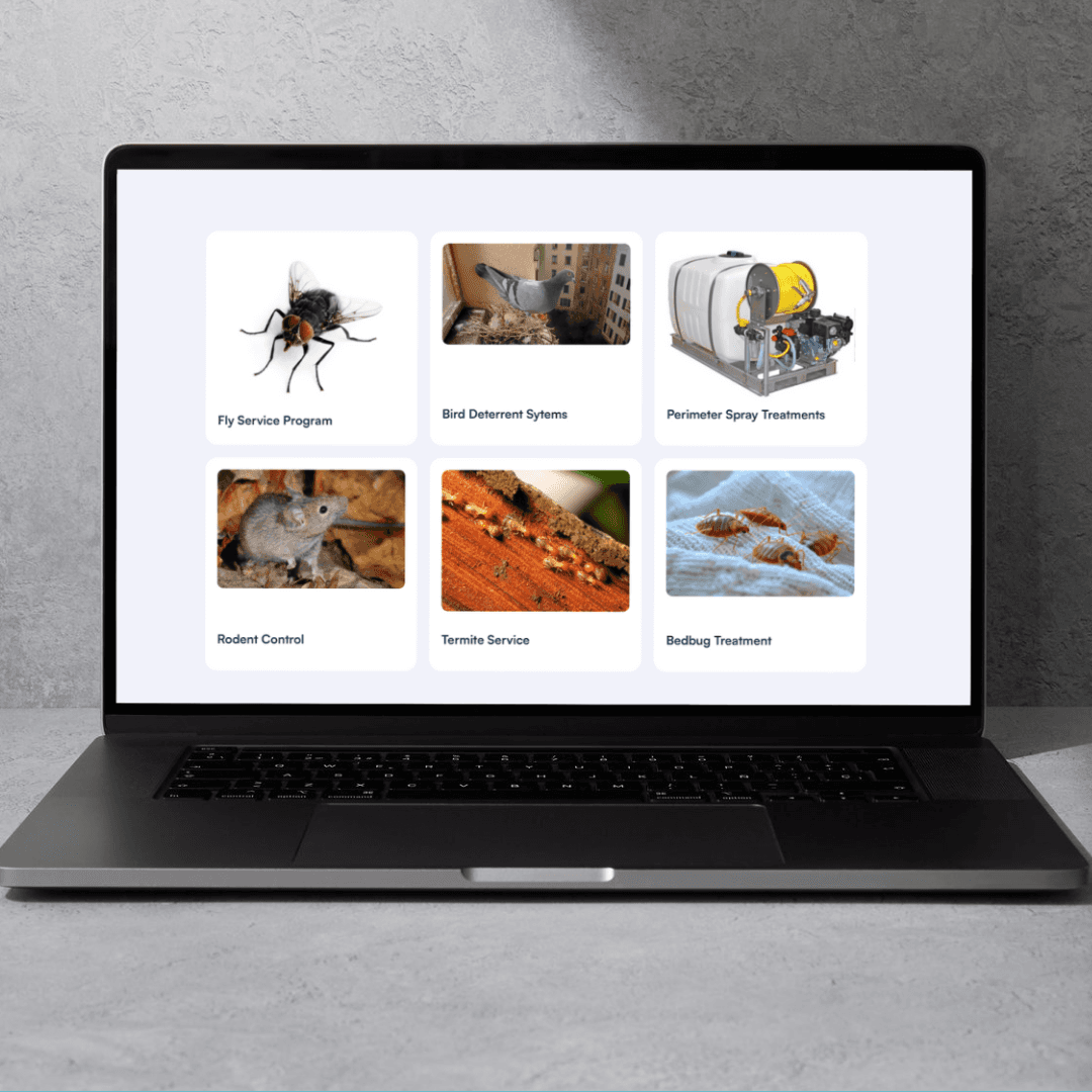 Project Content Image - 5