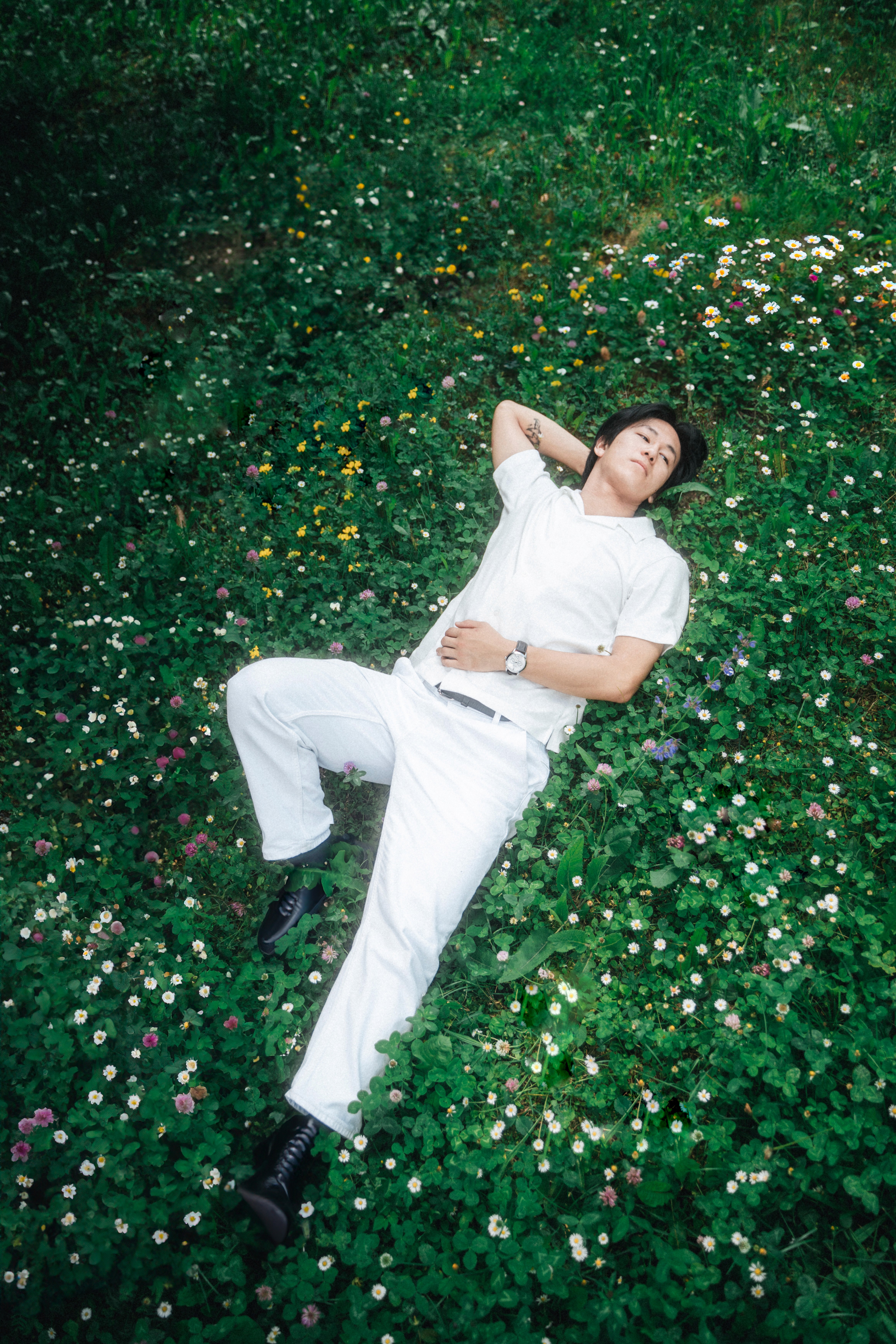 Dom Pérignon vineyards from the sky