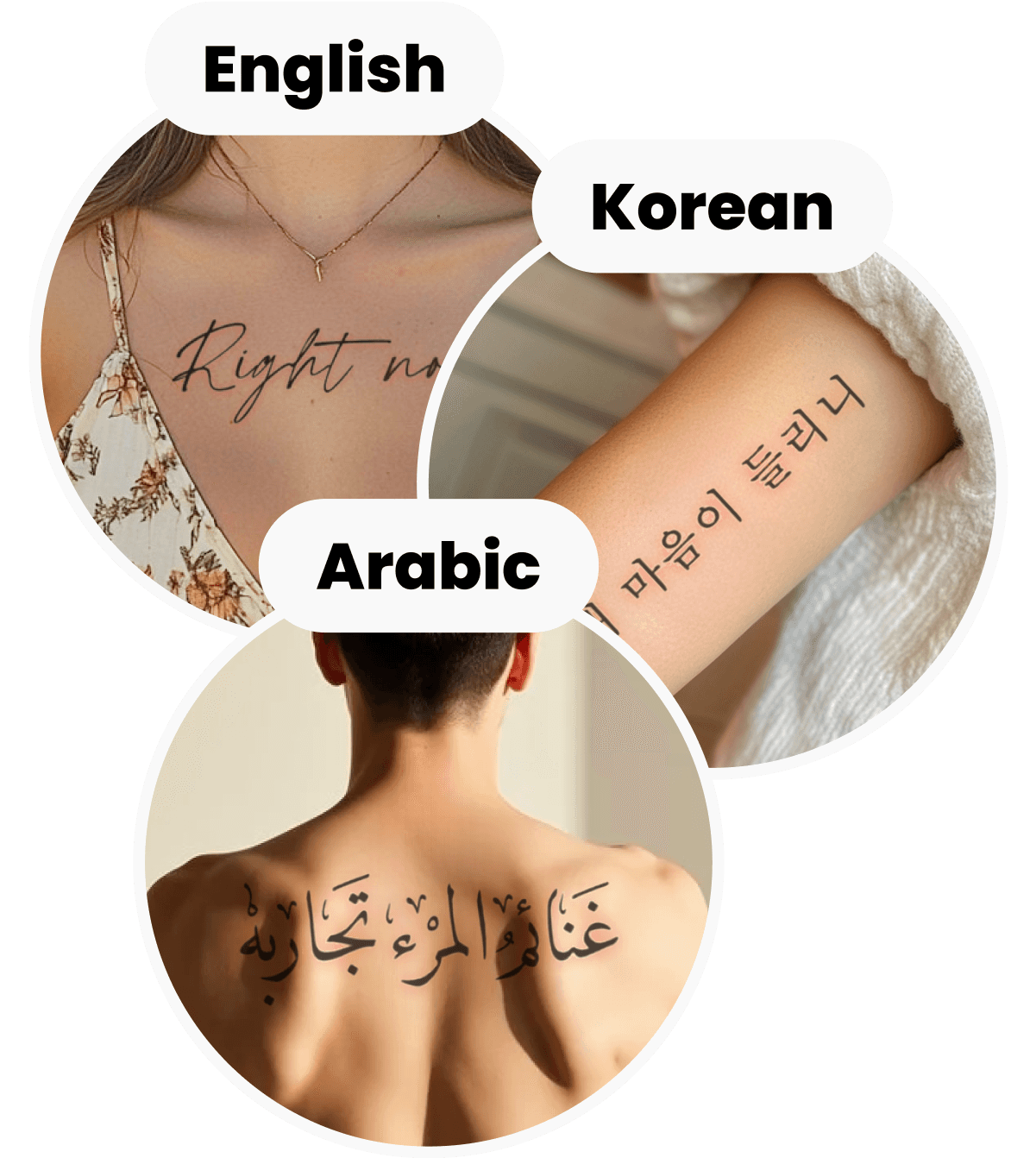 English, Korean, Arabic supported by Tattify App