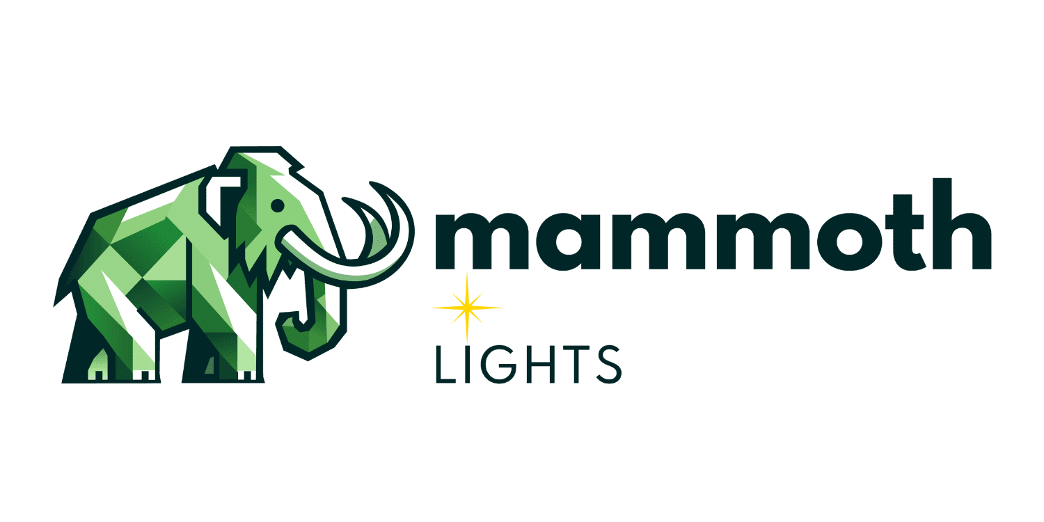 Best holiday and permanent lighting installation contractor Chester County PA