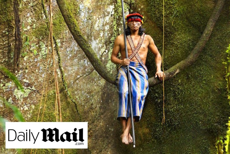 Daily Mail Article