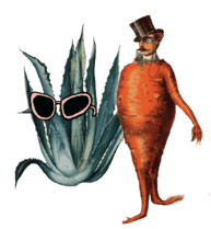 Agave and carrot characters wearing sunglasses — playful way to highlight Cascara Cabinet’s natural prebiotic ingredients.