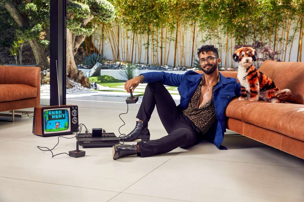 Groomer gently brushing a West Highland white terrier during a grooming session, highlighting soft texture and attentive care.