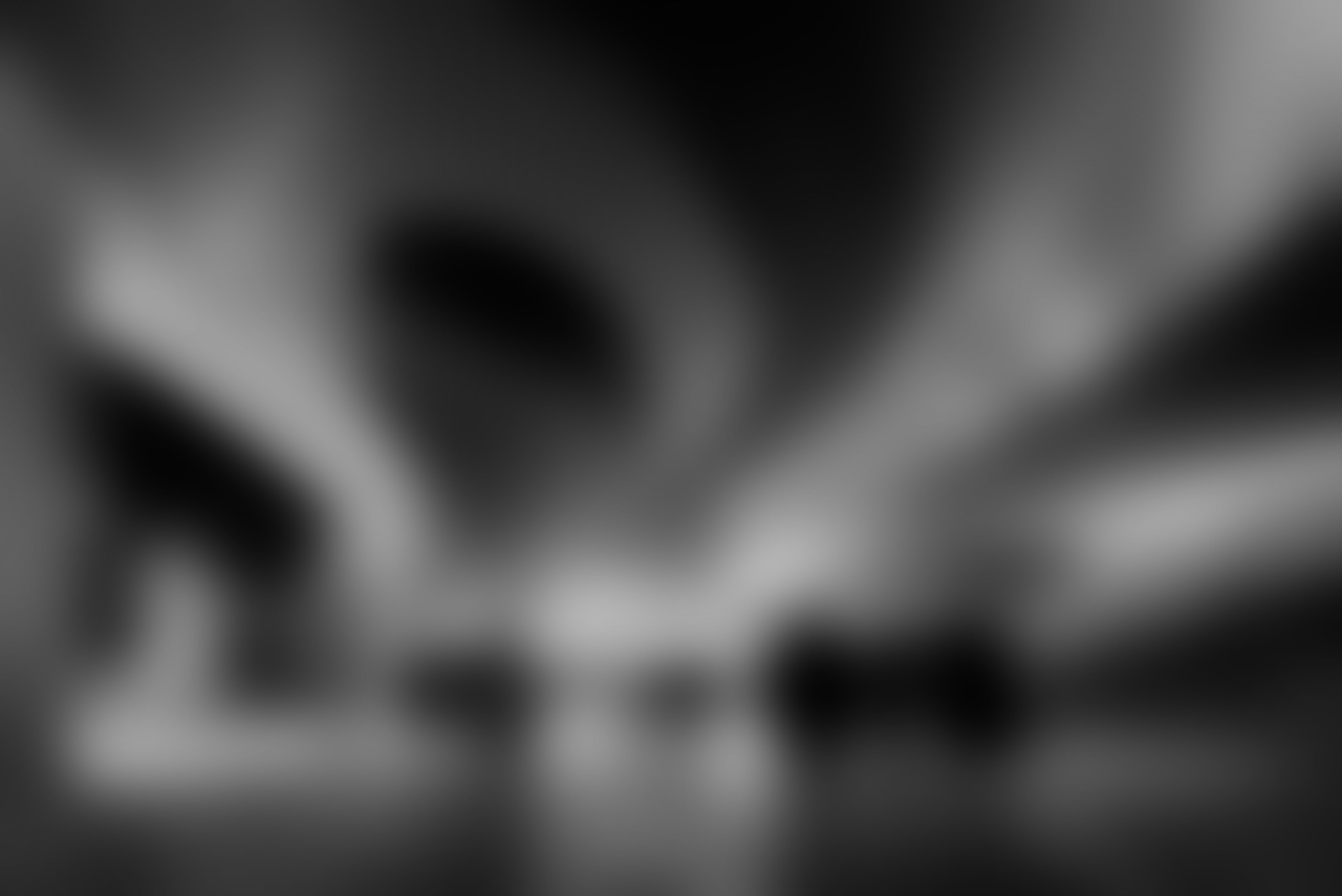 arya-safavi-meridian-arts-pavilion-1