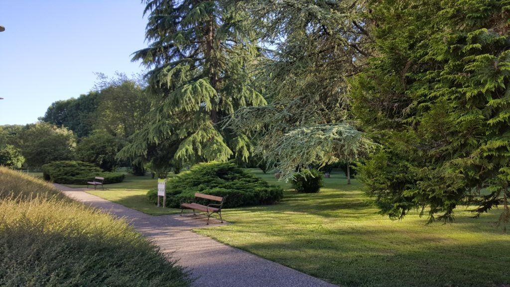 Garden pathway with landscaping outdoor seating