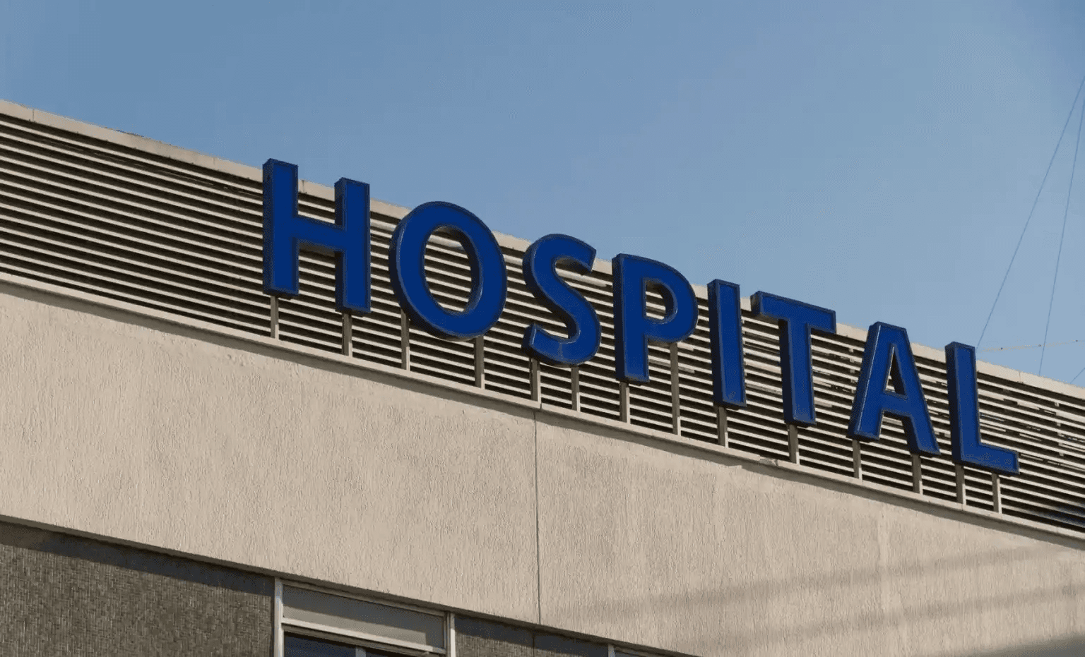 전국 의대 순위, 간호대 순위, 약대 순위, 수의대 순위, QS 세계 대학 순위