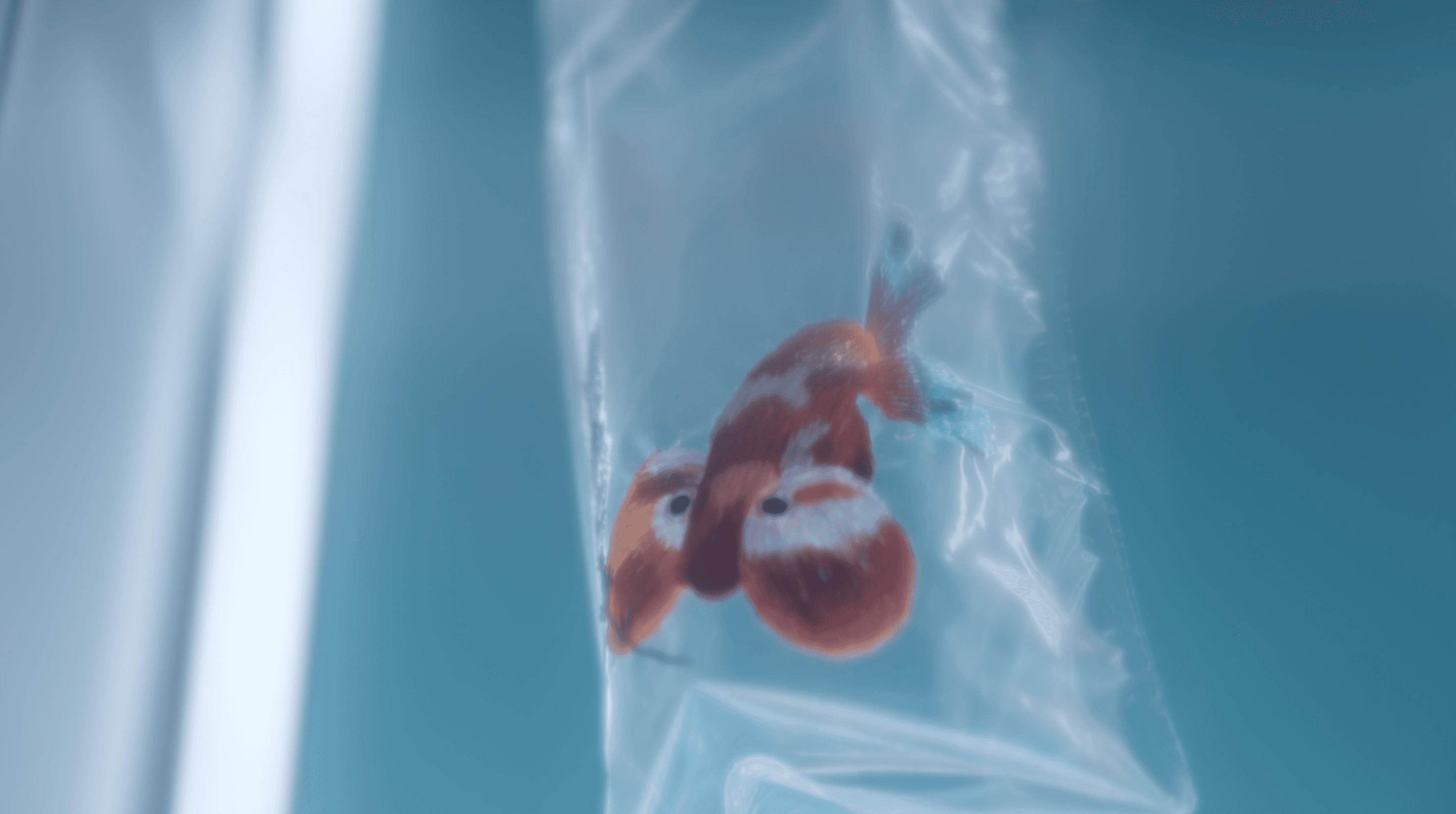 Here comes the alt text