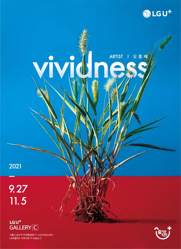2021 vividness