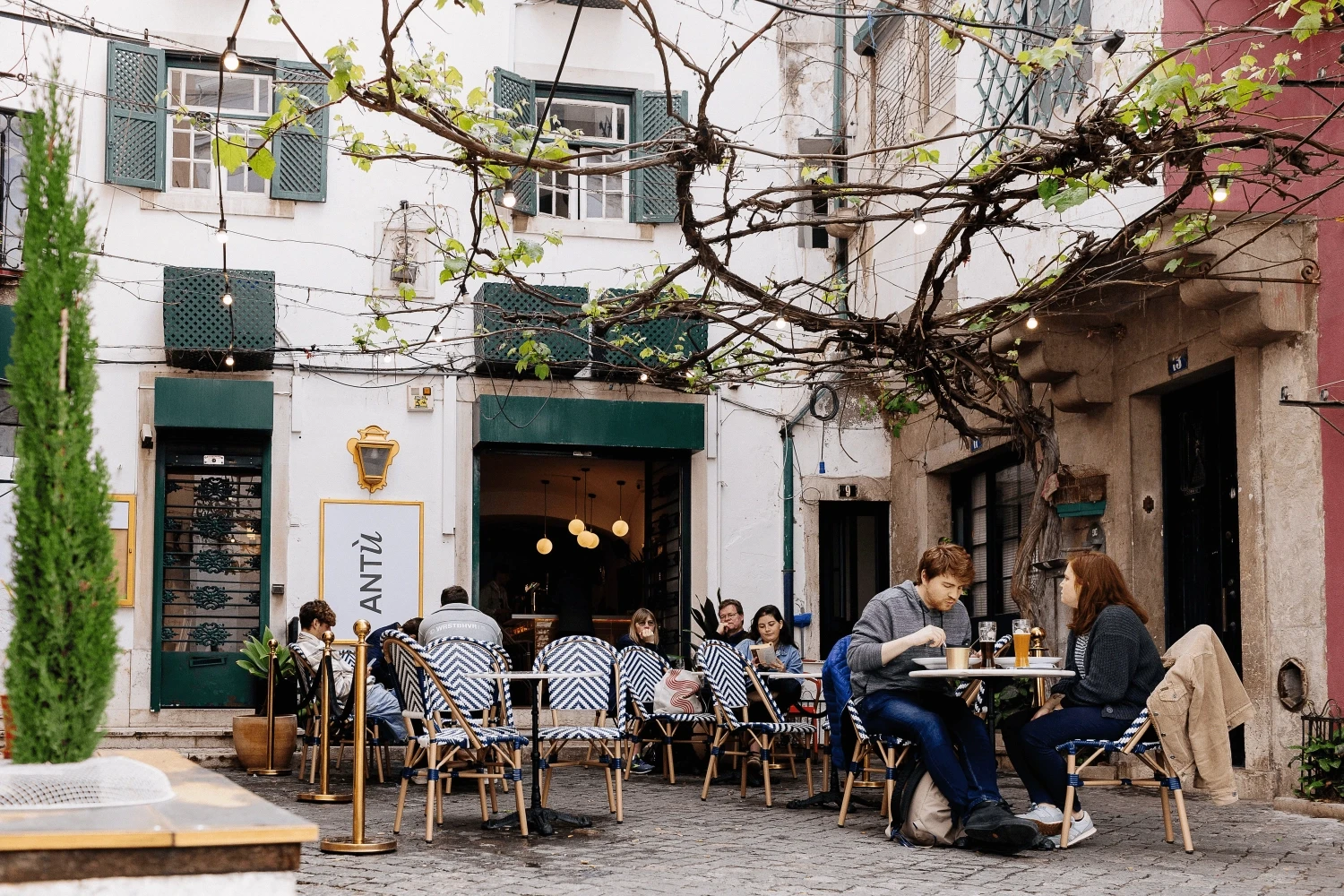 Restaurants in Alfama: best places to eat