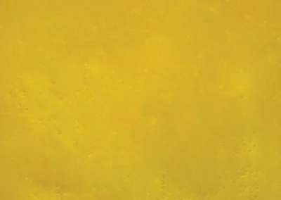 Metallic Color Samples - Canary