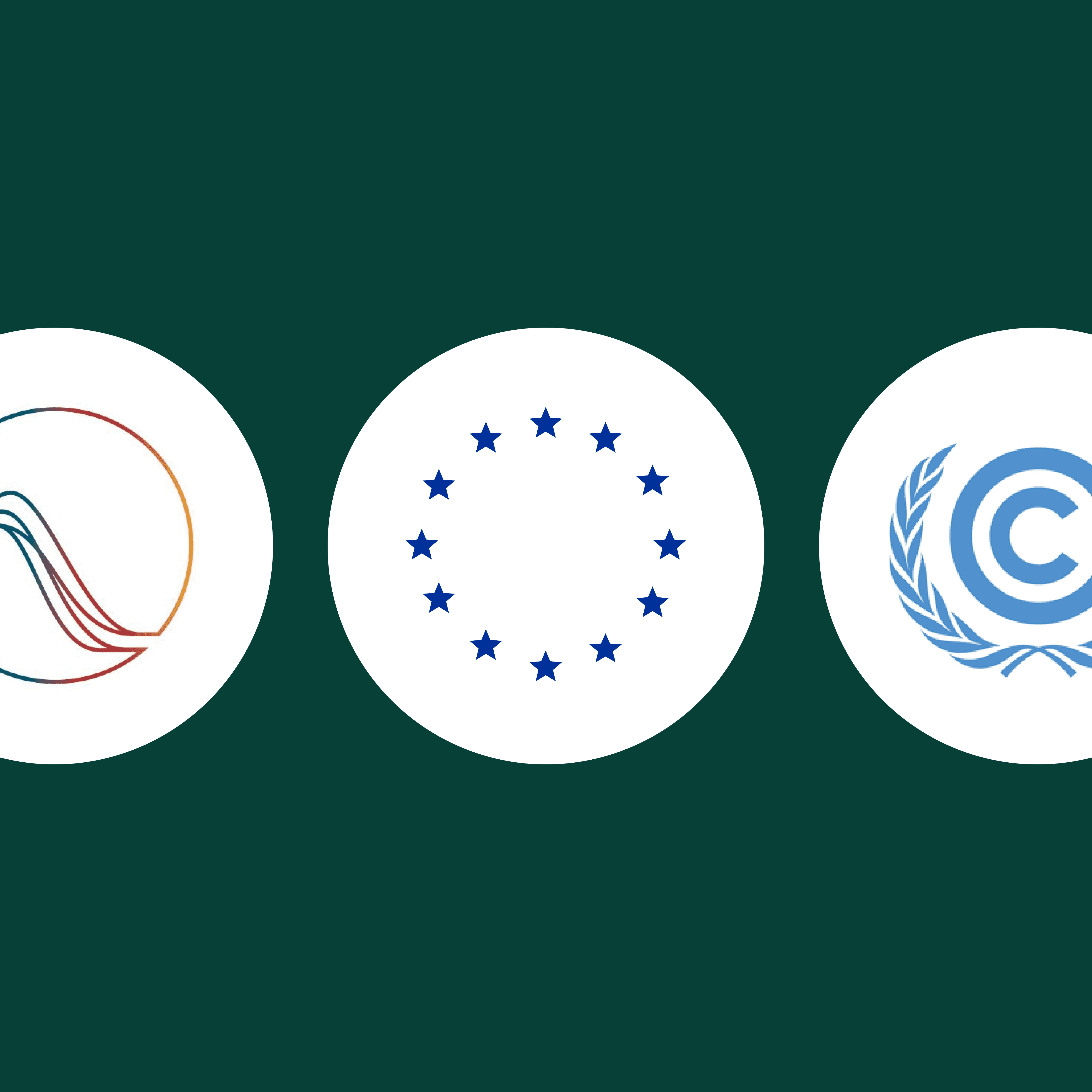 Compliance with CSDDD, EUDR, CSRD, OECD guidance and more