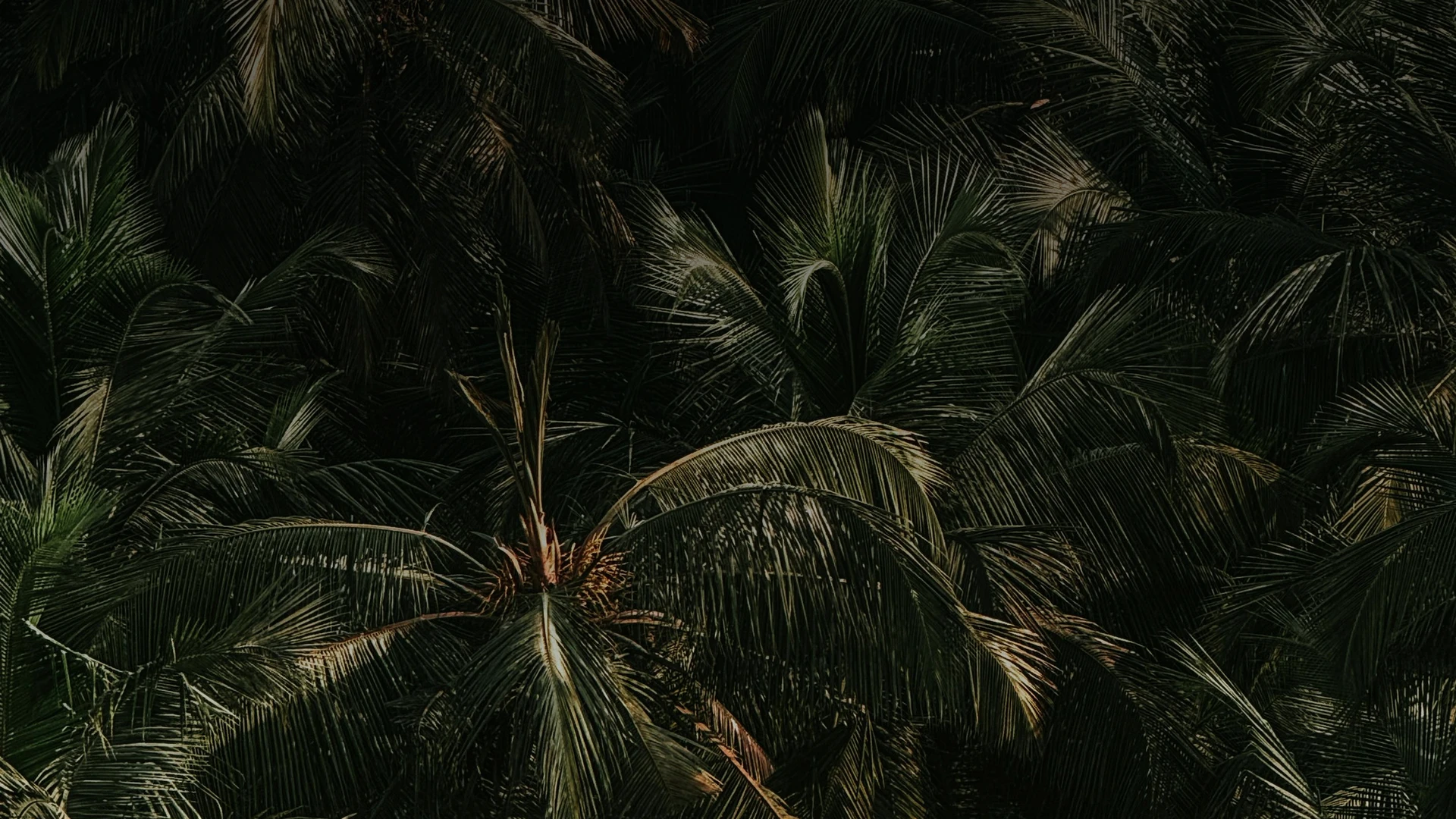 Cheap and best properties in Goa