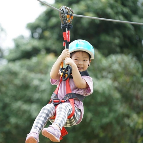 芭堤雅泰山冒险