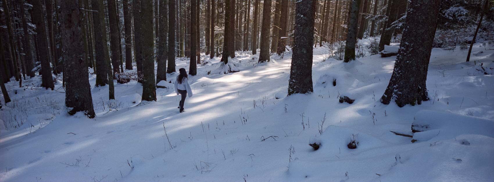 Fujifilm TX-1 panoramic photo of a person in between the trees in south Germany, with late afternoon light falling through the trees and strong use of leading lines.