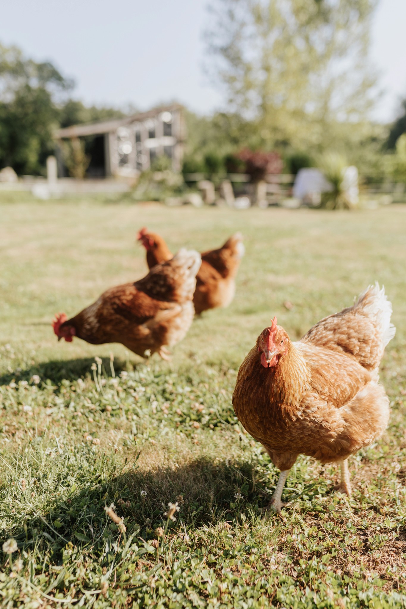 A casa do cuco | Fotografía Lorena Grandío
