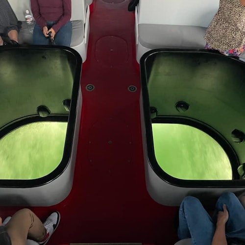 People sitting around glass-bottom windows on a boat, looking at green water below.