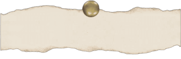 Image (no background)