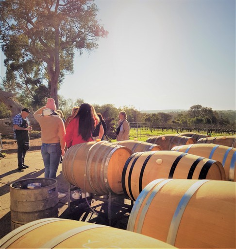 Tour guide Ziggy educating clients about oak in the barrell room
