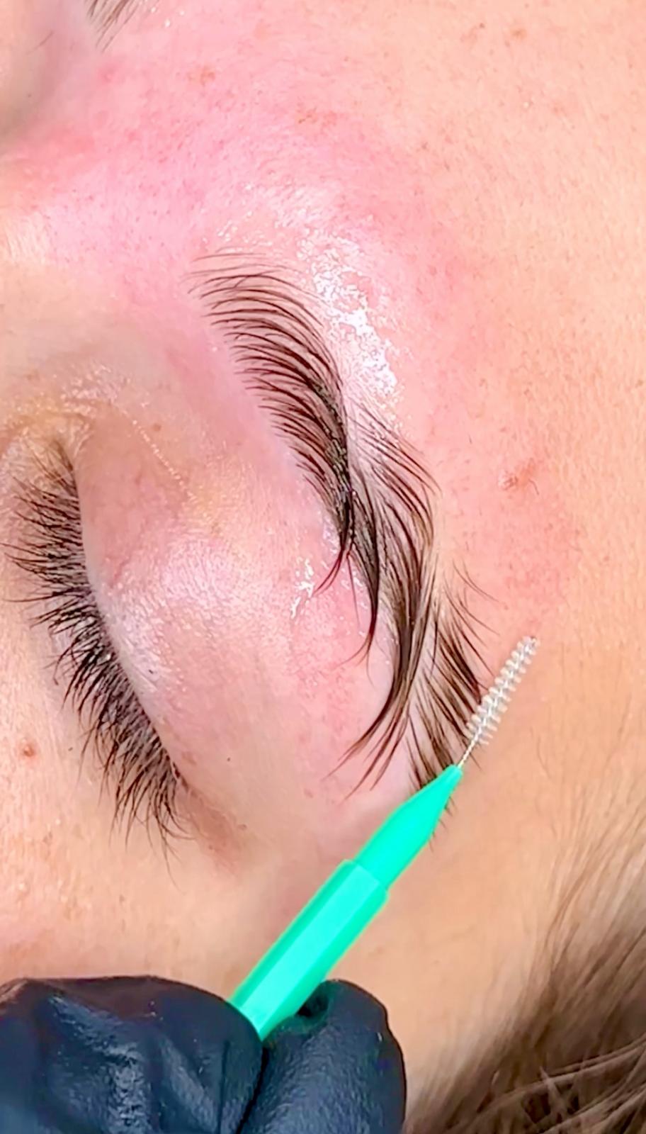 Lamination brow neutral bay