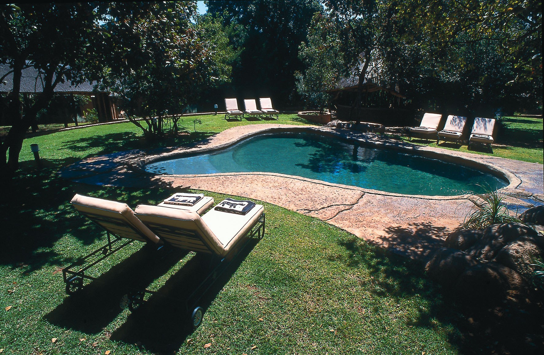 Tree Camp i Mashatu Game Reserve, Botswana – unikt boende byggt på en platå i ett träd, med säng omgiven av myggnät under ridresa med Africa by Horse.