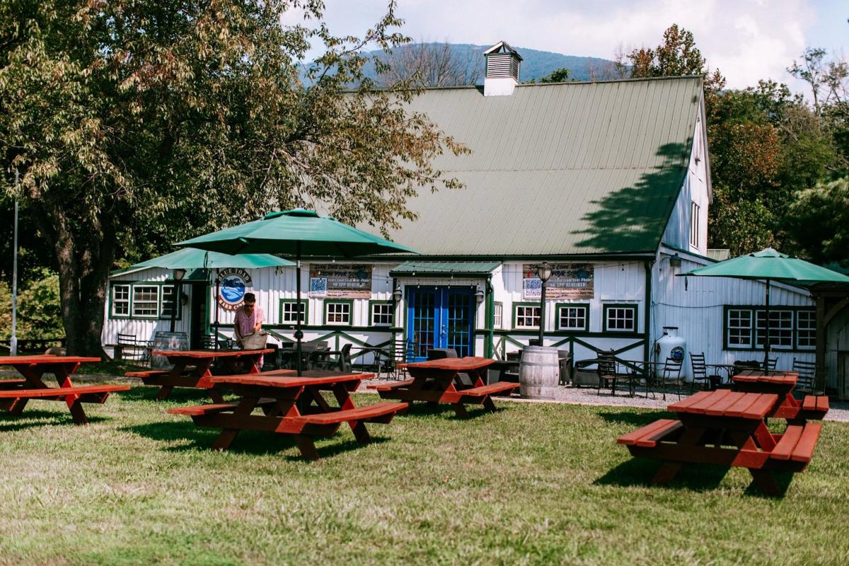 Visit Blue Toad Hard Cider in Roseland Virginia