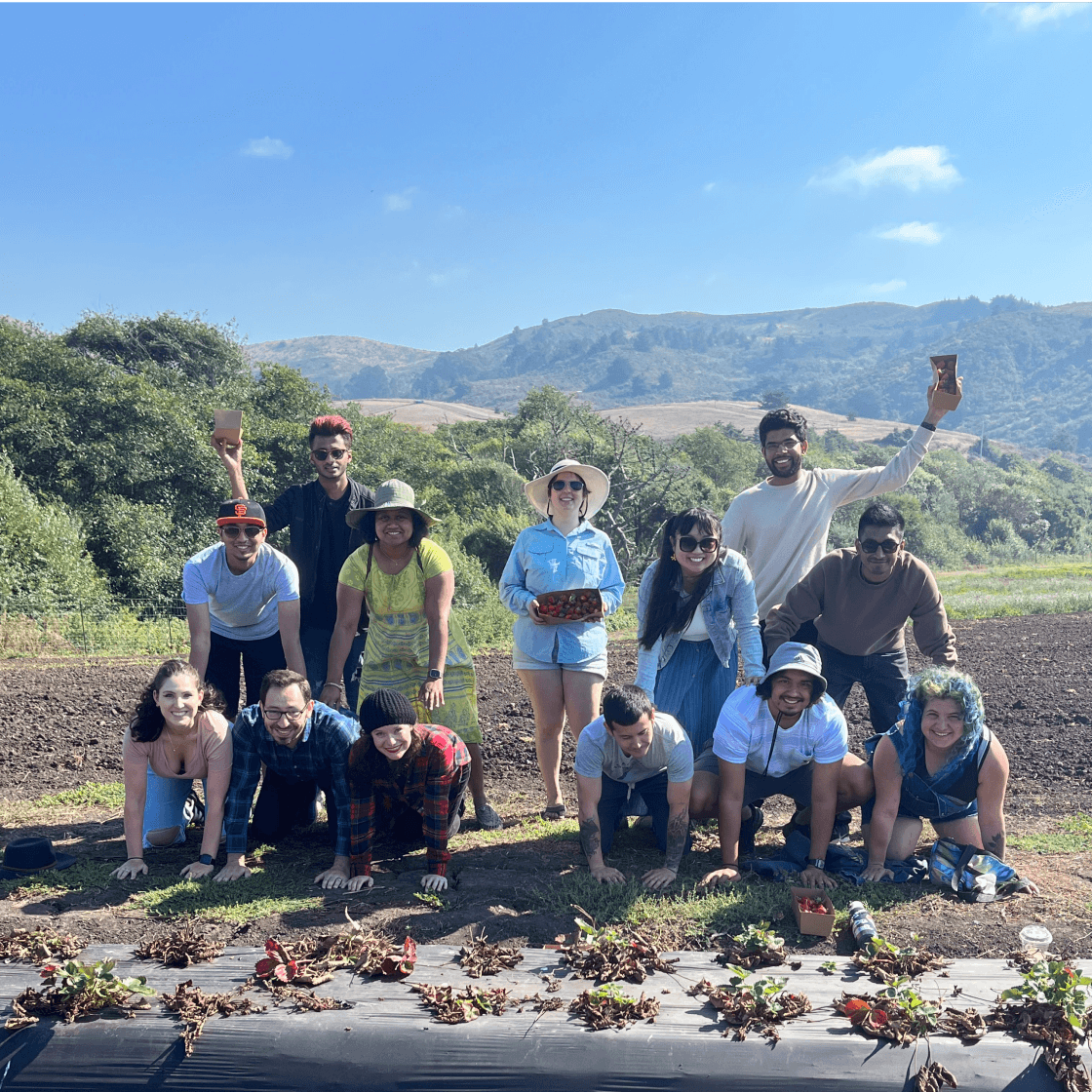 Silicon Valley Vipers go strawberry picking 
