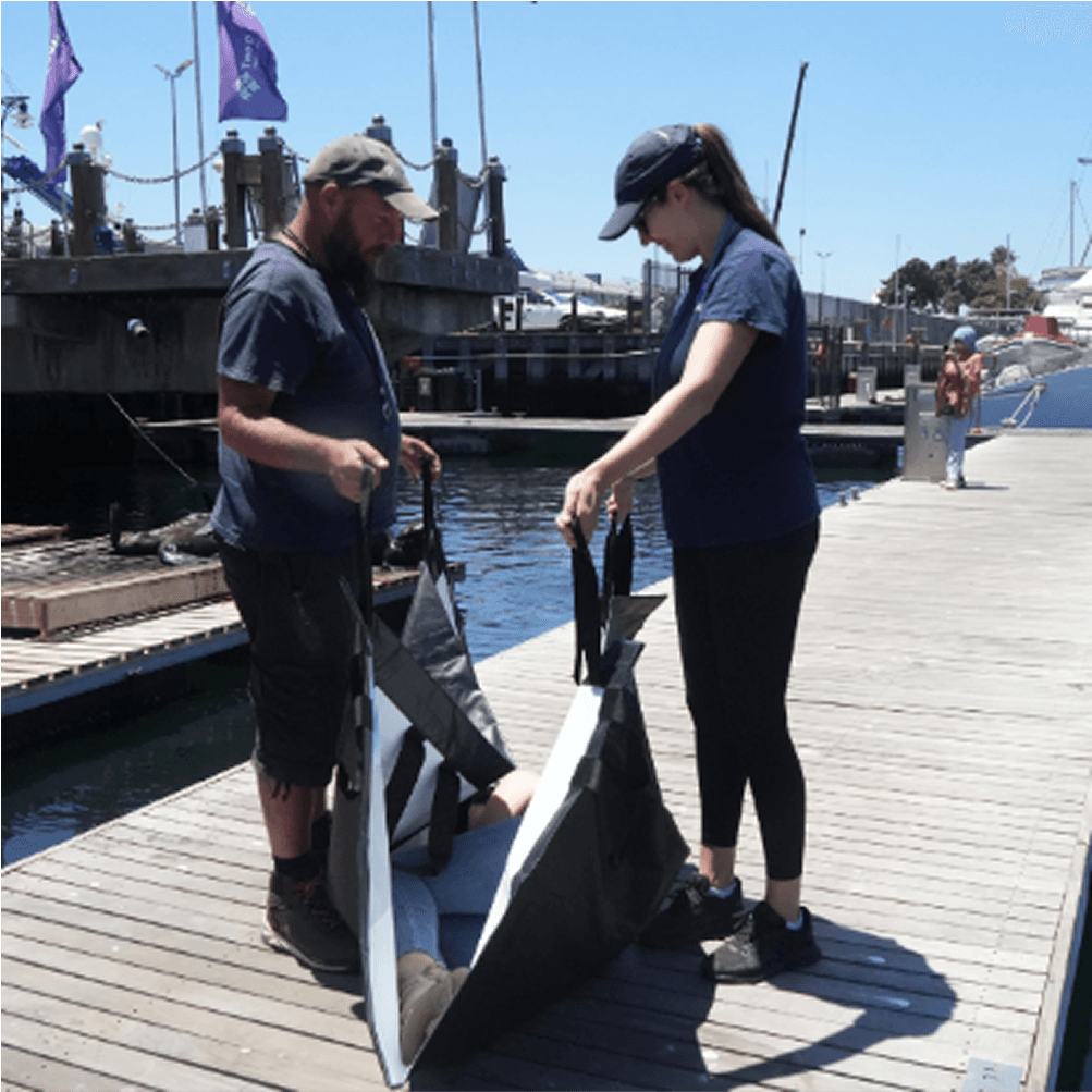 Recycled billboard used for sea animal rescue