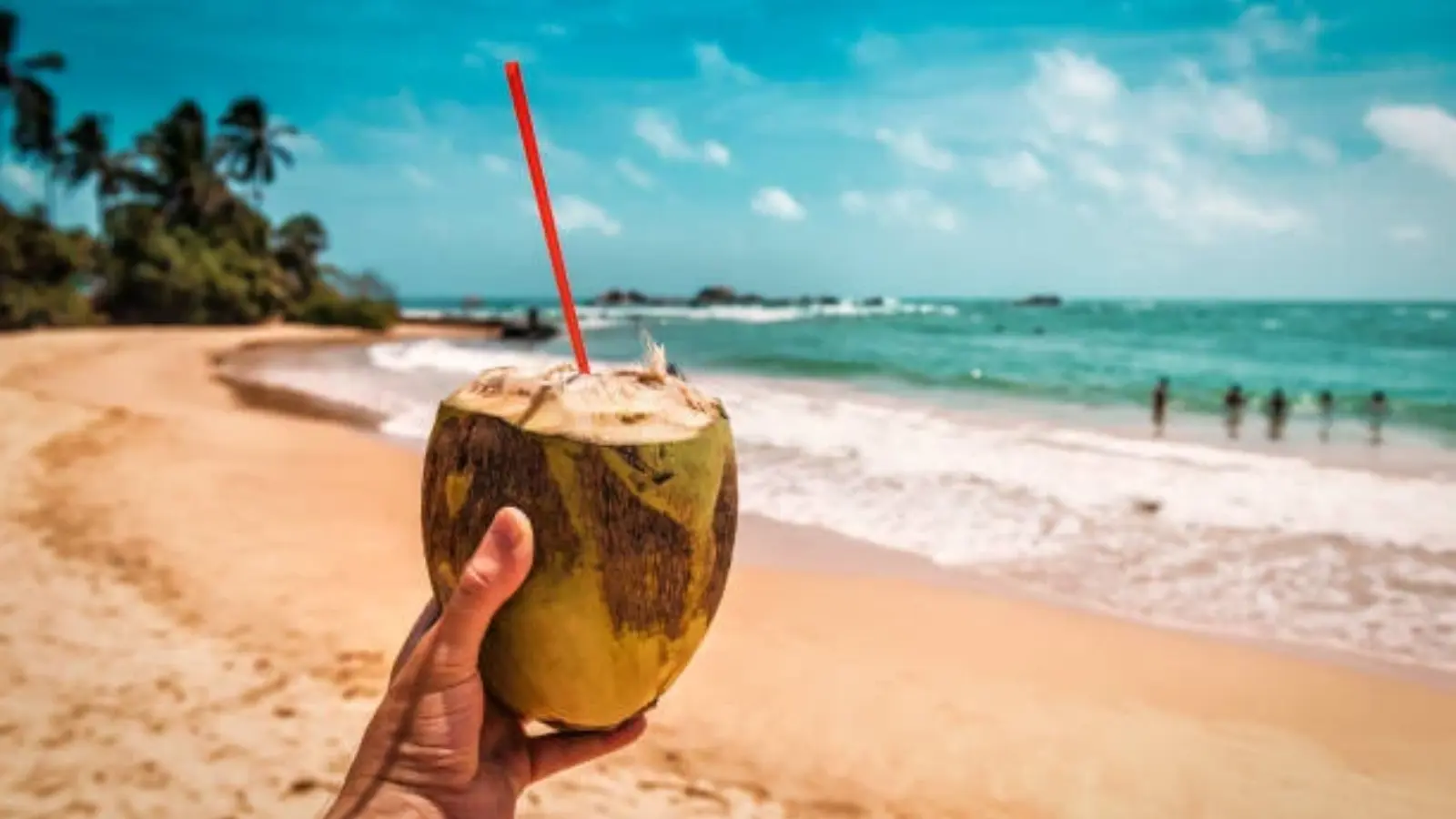 The “Sweet Spot” for International Travel in 2026