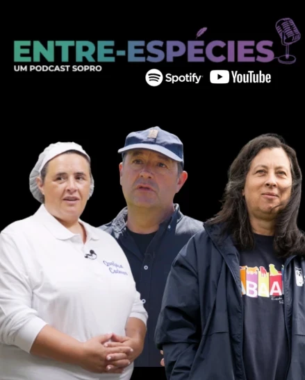 Campanha de podcast Sopro