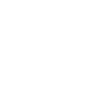 DSConnect, dental scanner logo in white