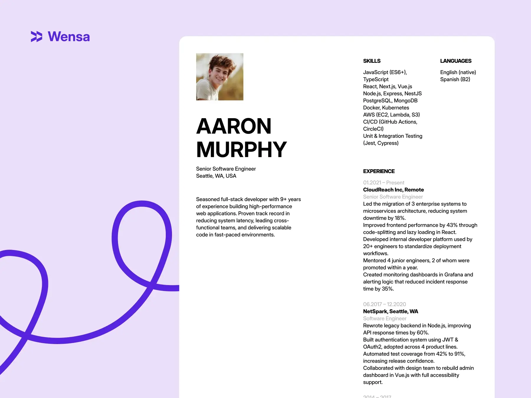 professional IT resume sample for senior developer