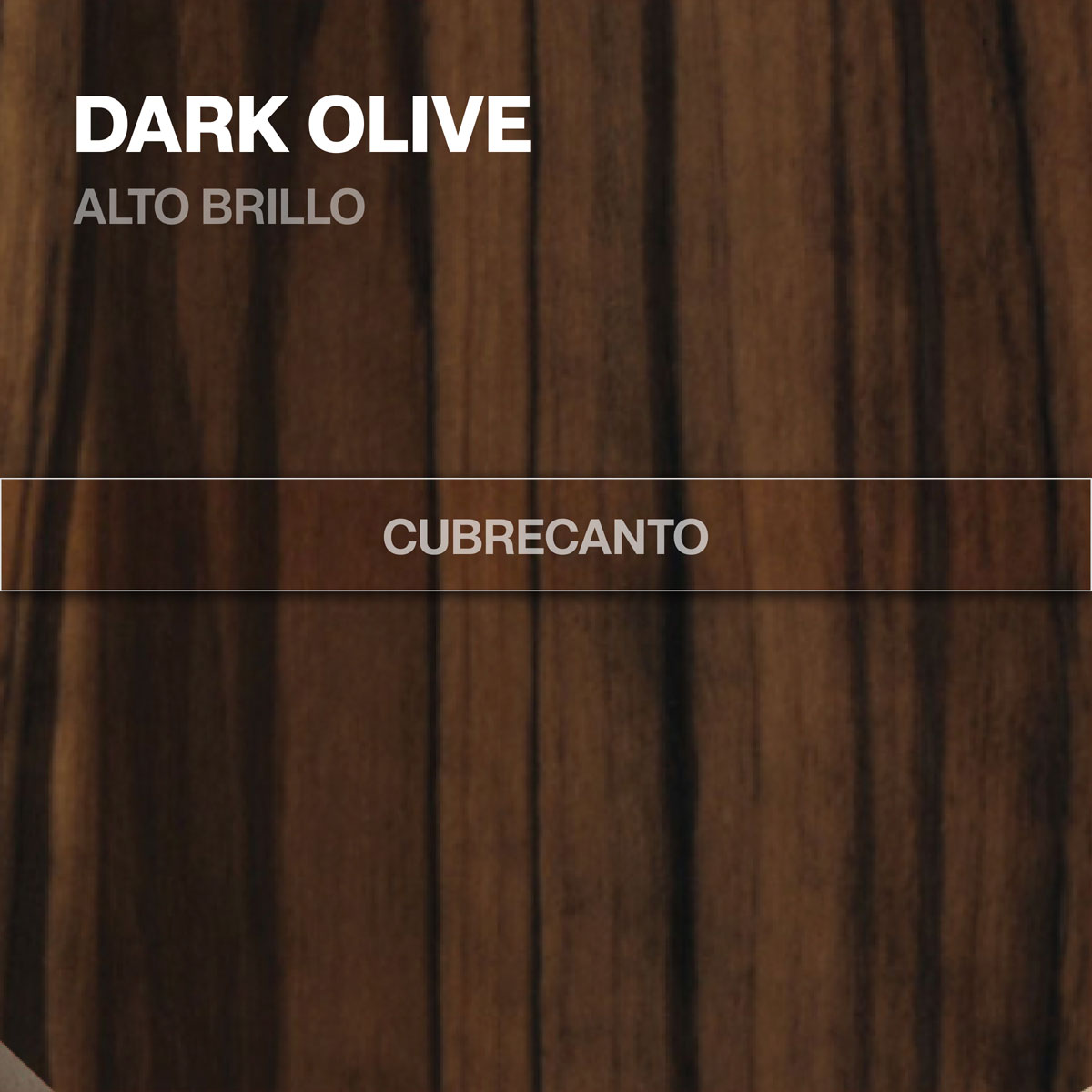 Rollo Cubrecanto Alto Brillo Dark Olive