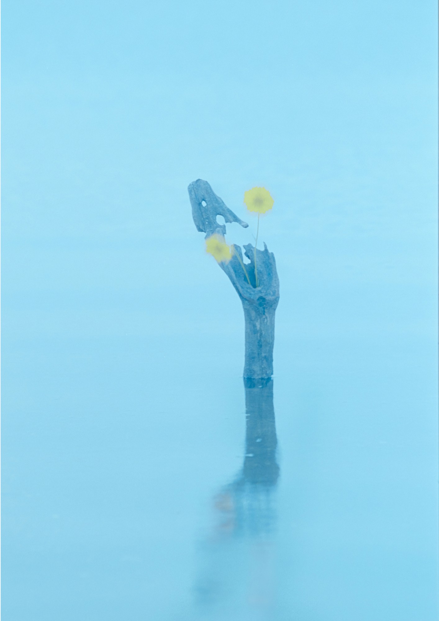 Taisei Matsumoto, 2023 exhibition work 033
