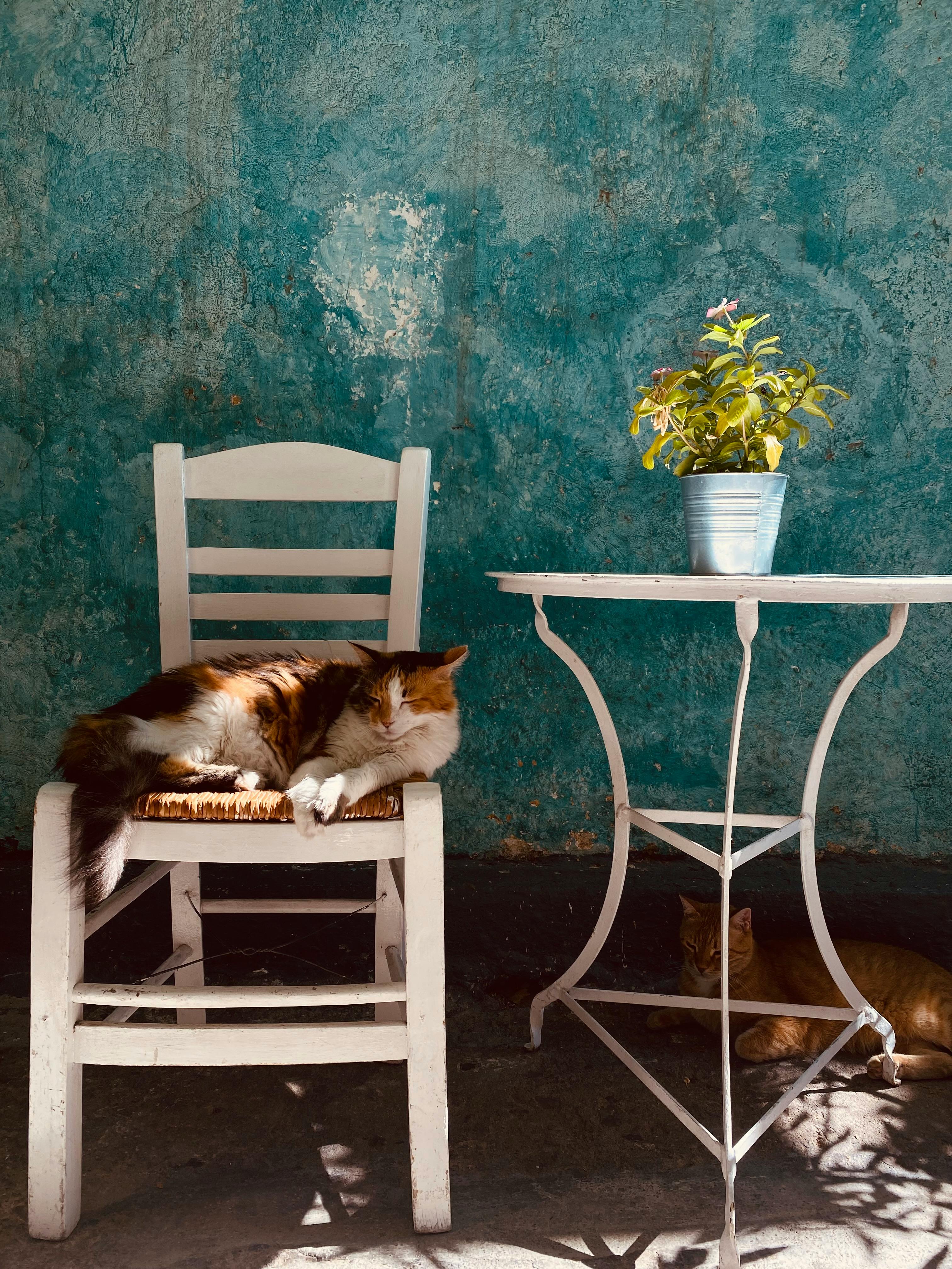 Plaje elegante și escapade relaxate pe Costa del Sol