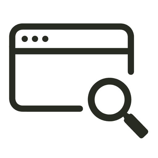 Website Audit