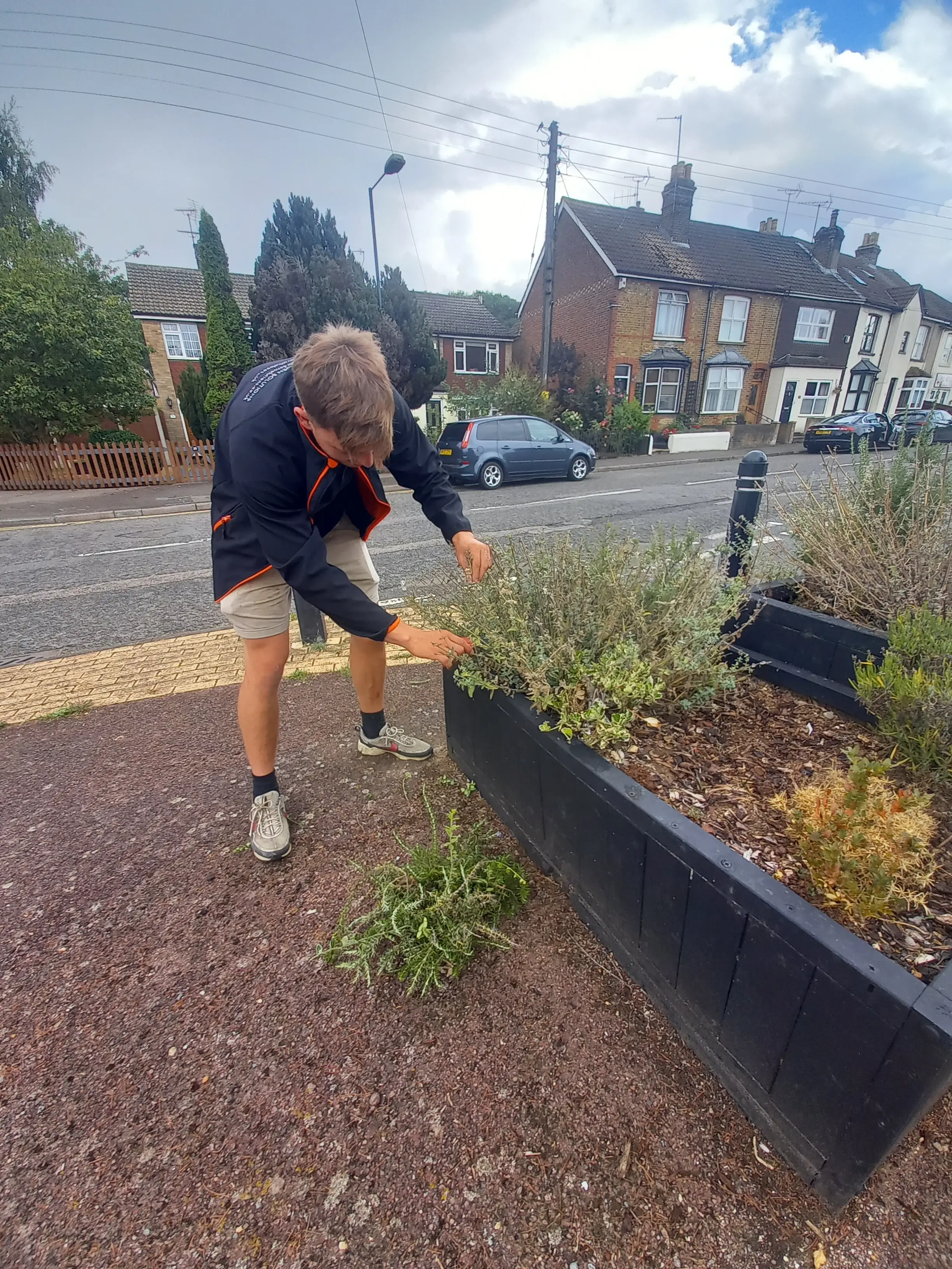 A person leaning over a garden bed, tending to plants near a residential area on a cloudy day.