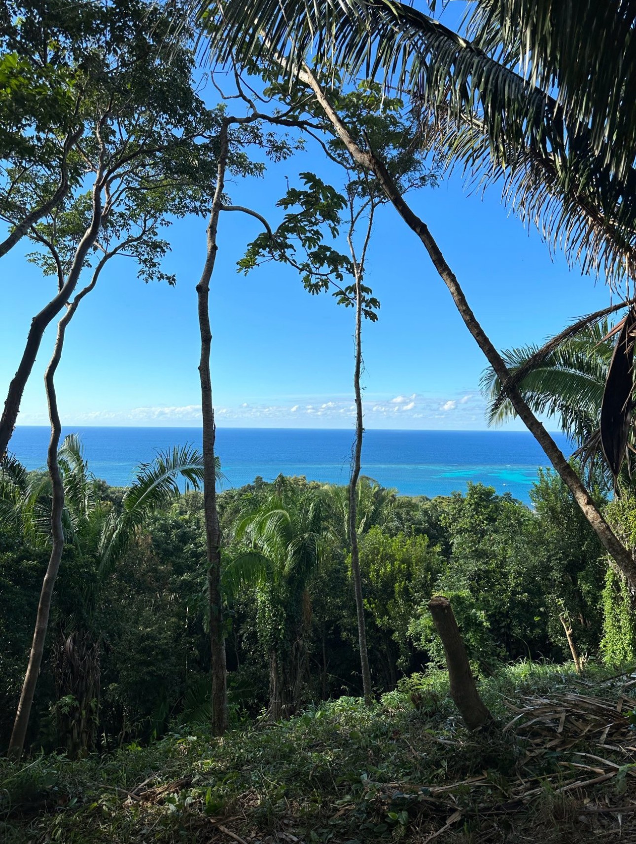 Roatan Village